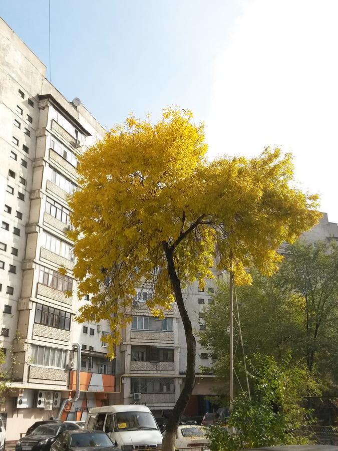 "Арбат" Центр Квартира- Apartment "Arbat" Almaty Ngoại thất bức ảnh